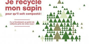 Visuel : Je recycle mon sapin